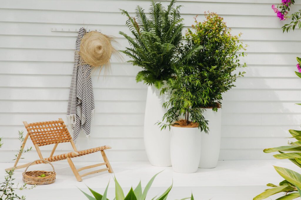 Short term event plant hire for Brisbane and the Gold Coast, weddings