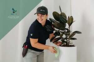 Award-winning Gold Coast indoor plant technician, Aimee Hansen