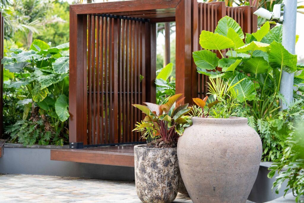 Large indoor pot plants