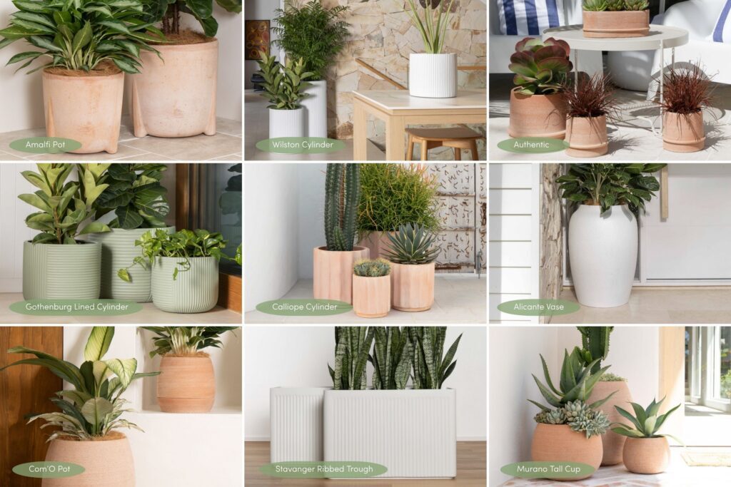 Our Just Add Plants pot favourites, including: Alicante Vase, Amalfi Pot, Authentic, Com'O Pot, Calliope Cylinder, Gothenburg Lined Cylinder, Murano Tall Cup, Stavanger Ribbed Trough and Wilson Cylinder.