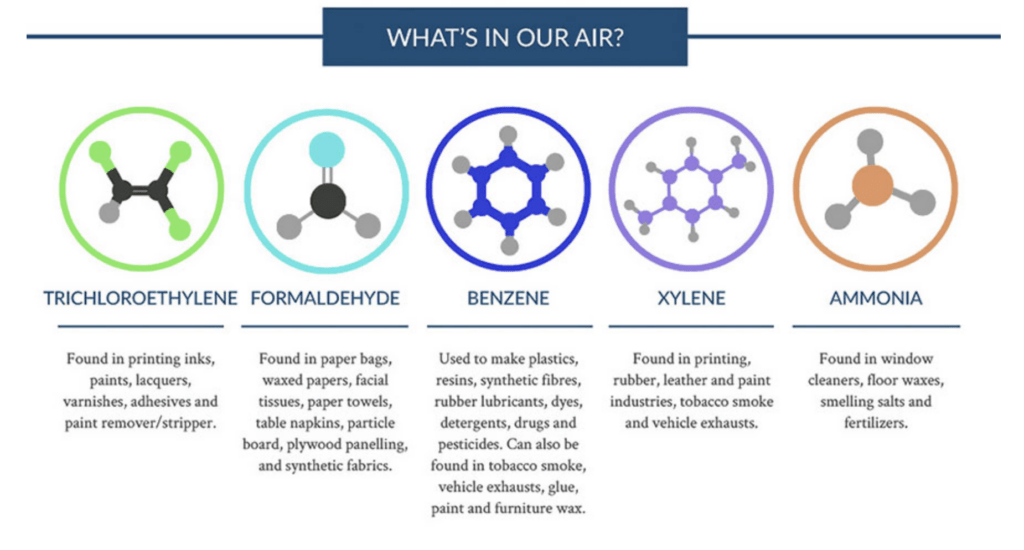 NASA Air Purifying Plants infographic by Love the Garden, what's in our air harmful VOCs