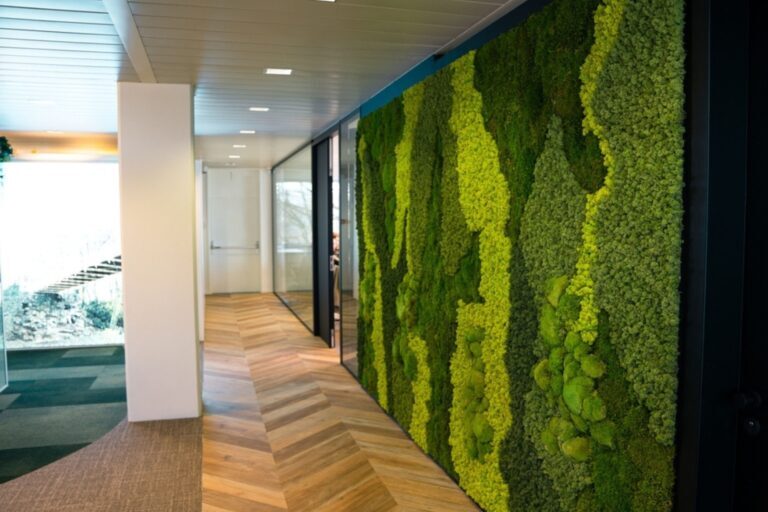Interior moss wall