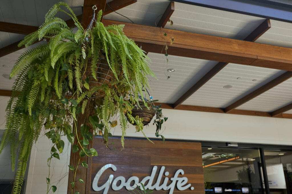 Hanging ceiling plants outside of a Goodlife gym in Brisbane.