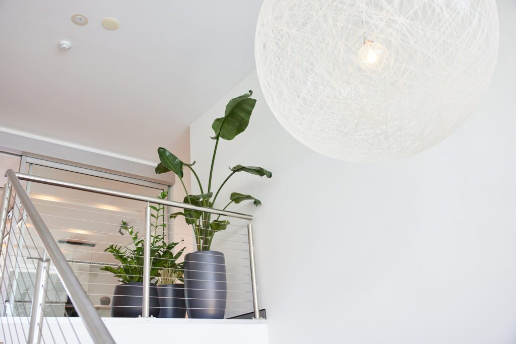 The office of Crest Advisors at 4 Miami Key, Broadbeach Waters with three stylised floor plants.