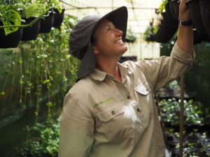 Greenglades wholesale nursery