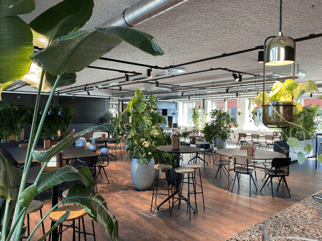 Biophilic office design