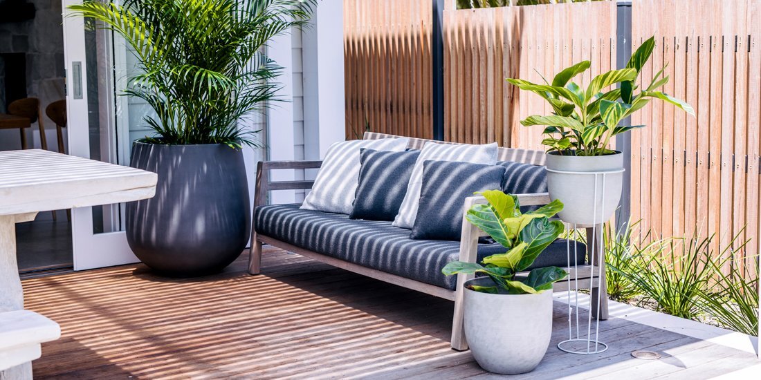 The Balcony Garden designer pots