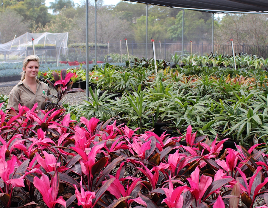 Oxford Park Nursery Brisbane