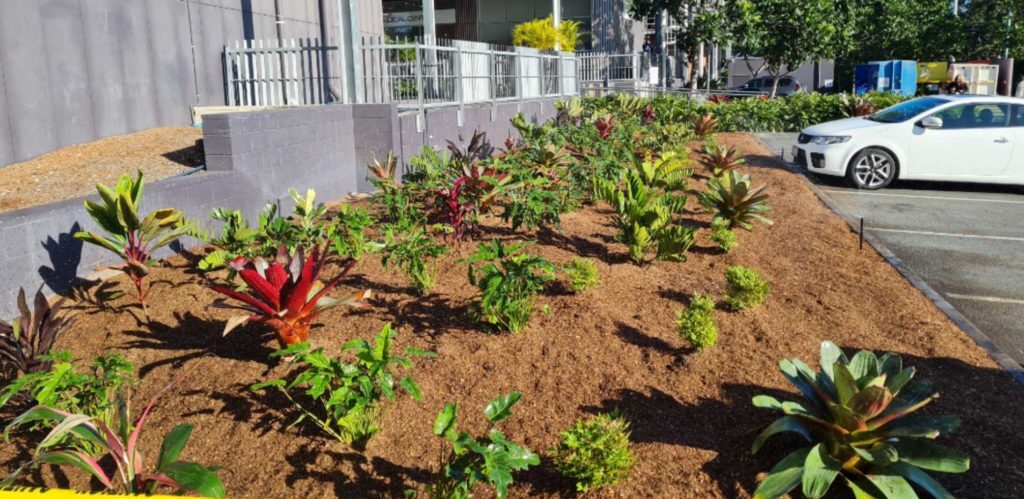 Westfield Helensvale garden bed