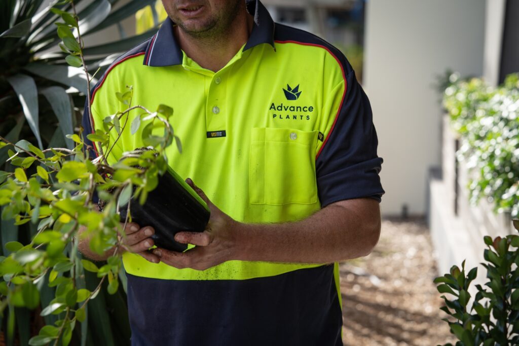 Robina Town Centre install