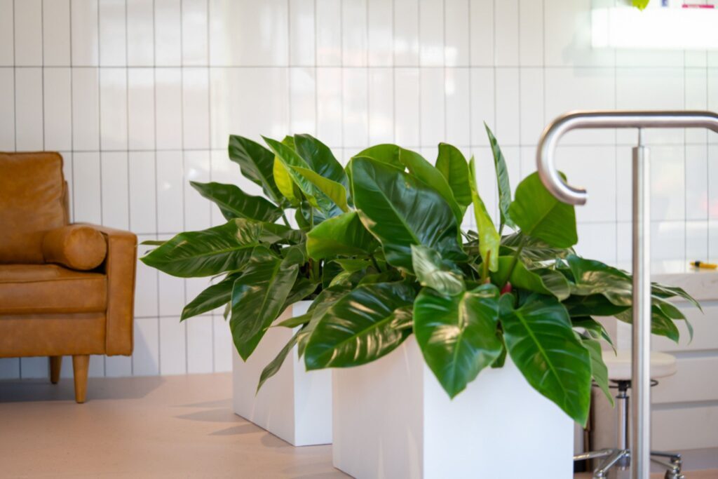 Teneriffe Dental waiting room