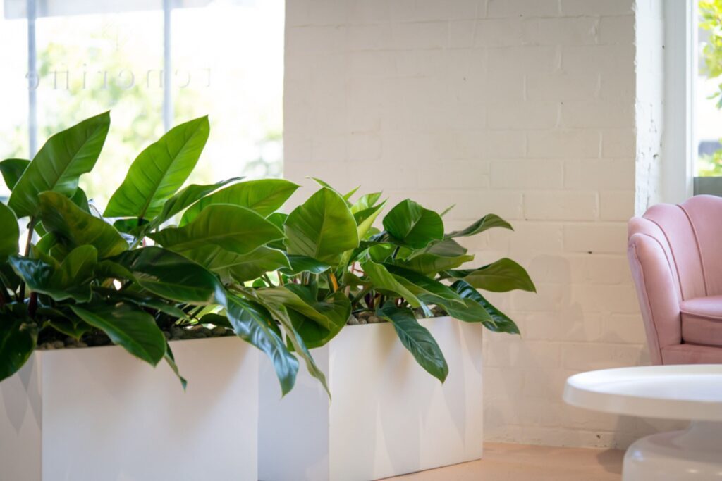 Teneriffe Dental waiting room