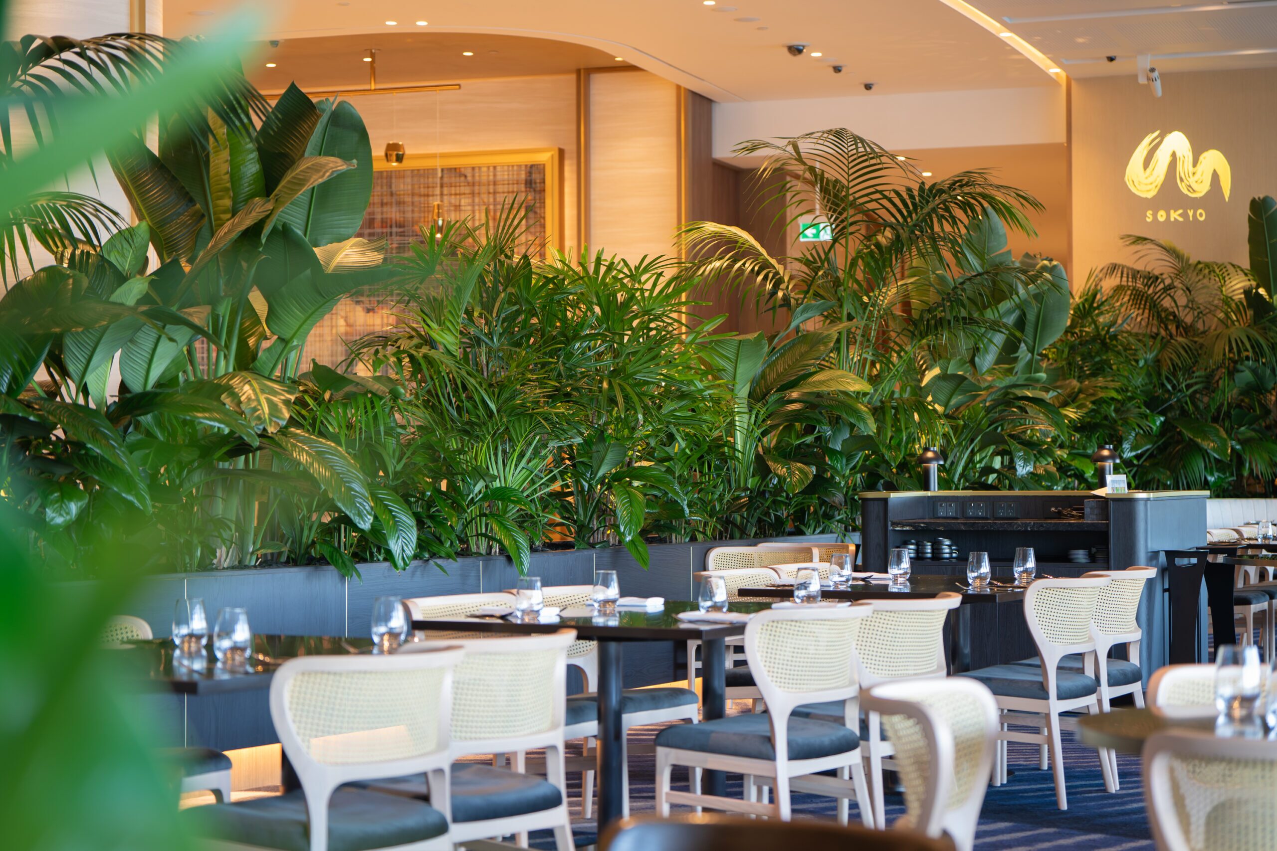 Queens's Wharf interior plant installation, the Star Brisbane