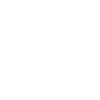 Advance Plants is the indoor plant hire provider for Bank of China, Brisbane branch