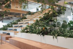 A recent interior plant hire fitout in Brisbane City building