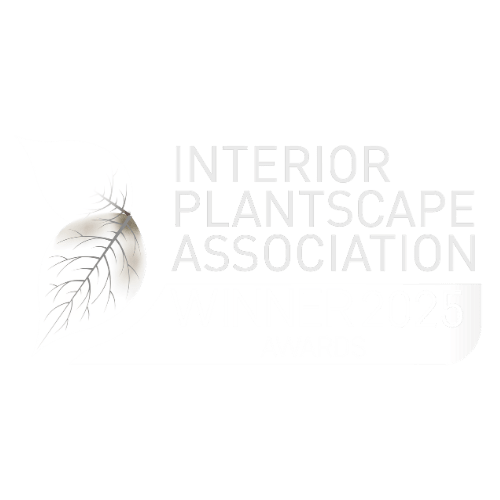 Advance Plants won the medium installation award at the Interior Plantscape Association awards in 2025