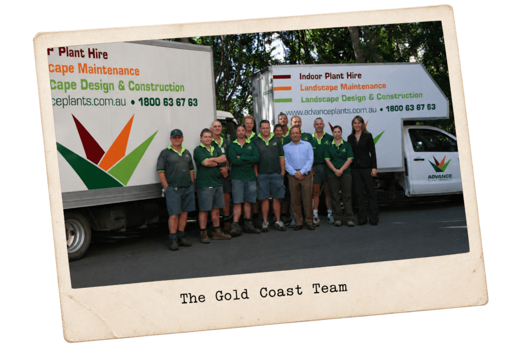 Advance Plants Gold Coast Team
