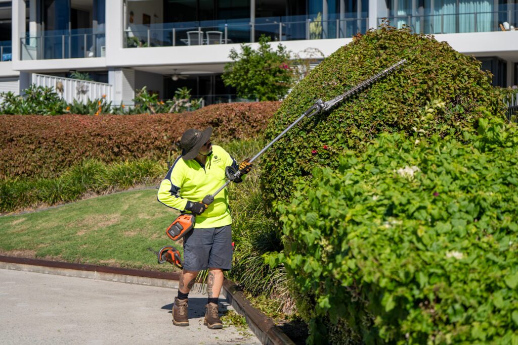 Advance Plants team member Nathan Hussell hedge trimming at Allisee Apartments