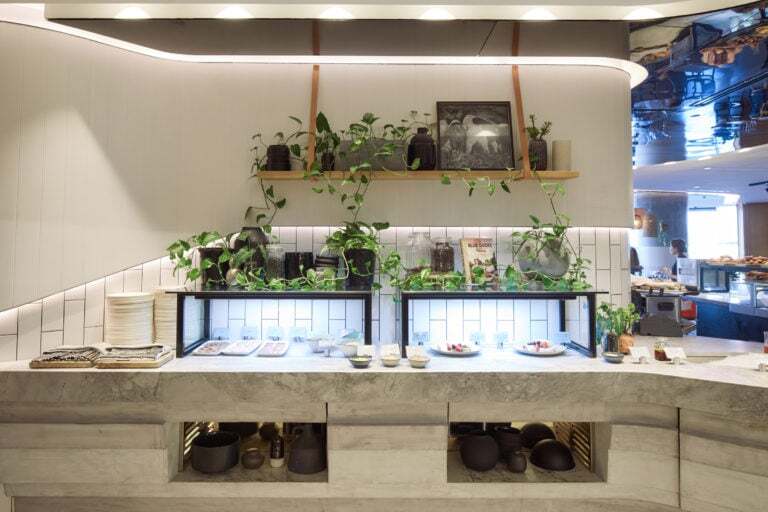 Indoor plants at W Brisbane Hotel