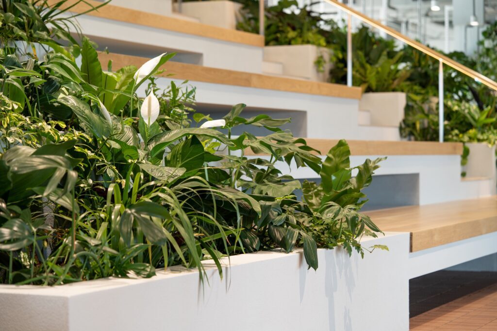 Indoor planting in custom joinery at the Australian Retirement Trust headquarters, Brisbane CBD office plantscape