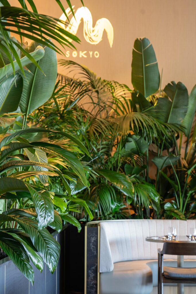 Queens's Wharf interior plant installation, the Star Brisbane