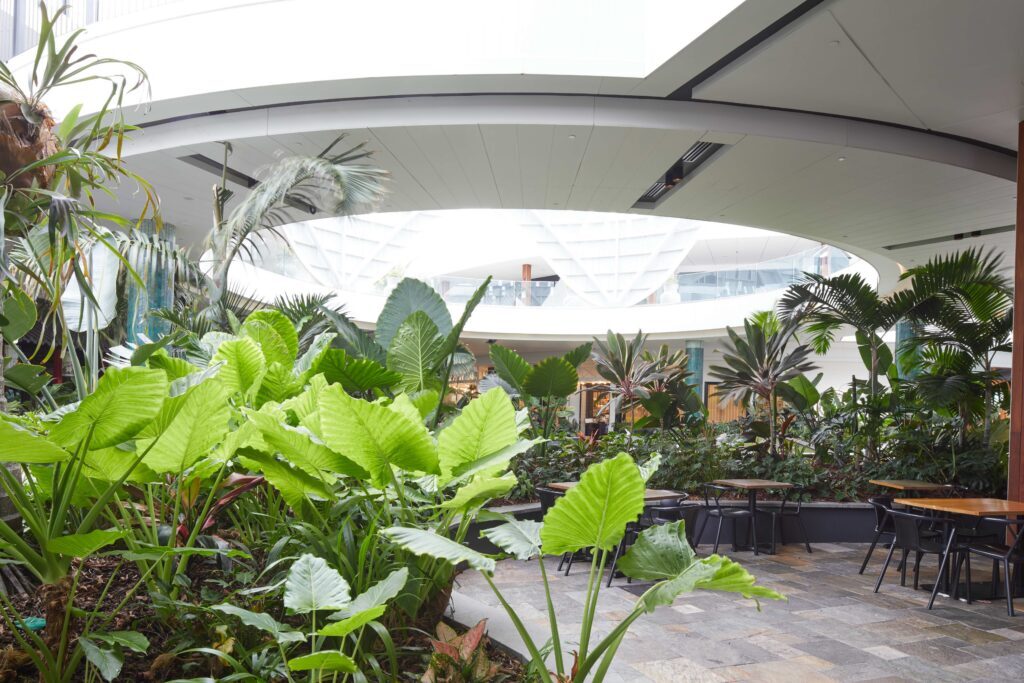 Indoor plant hire at Westfield Chermside, layered interior planting beside mall seating under the skylit roof
