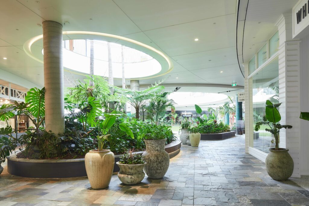 Interior plantscaping along a mall walkway at Westfield Chermside, planted pots and beds maintained by Advance Plants