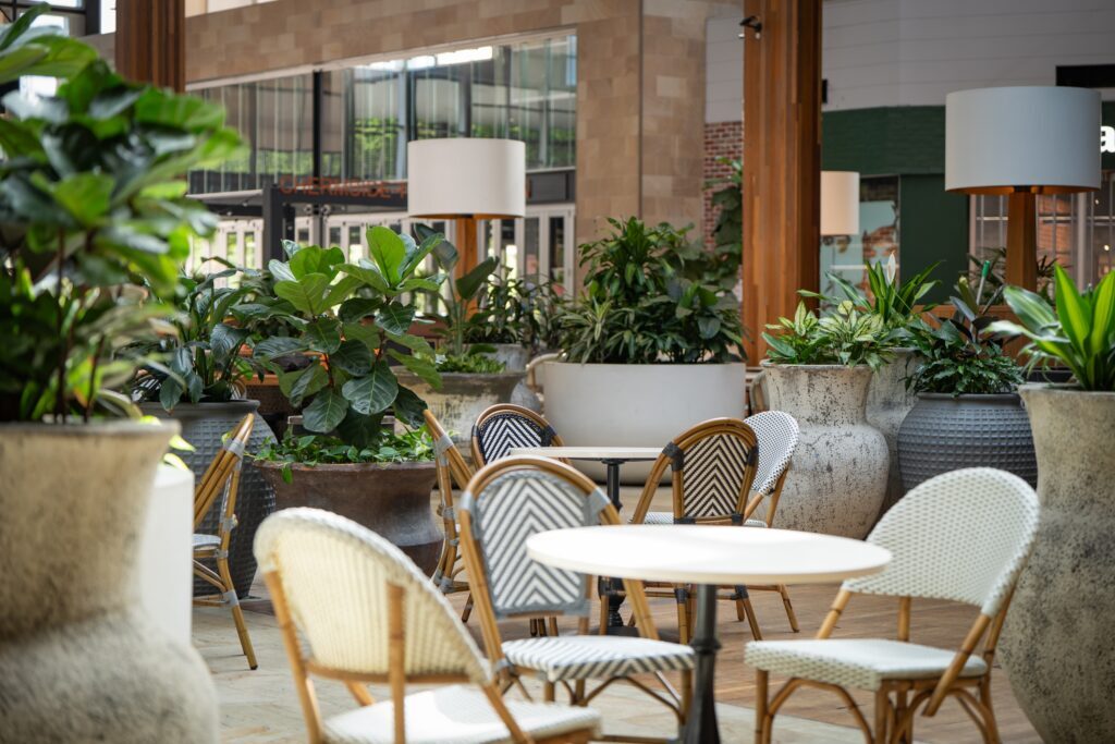 Commercial plant hire at Westfield Carindale, grouped planters framing café seating in the Brisbane shopping centre