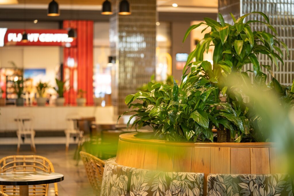 Peace lily and mixed foliage in a curved bench planter at Westfield Coomera, interior plantscaping by Advance Plants