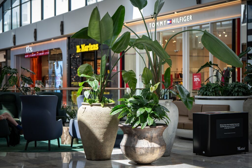 Planted stone urns beside storefronts at Westfield Chermside, shopping centre plant hire and maintenance in Brisbane