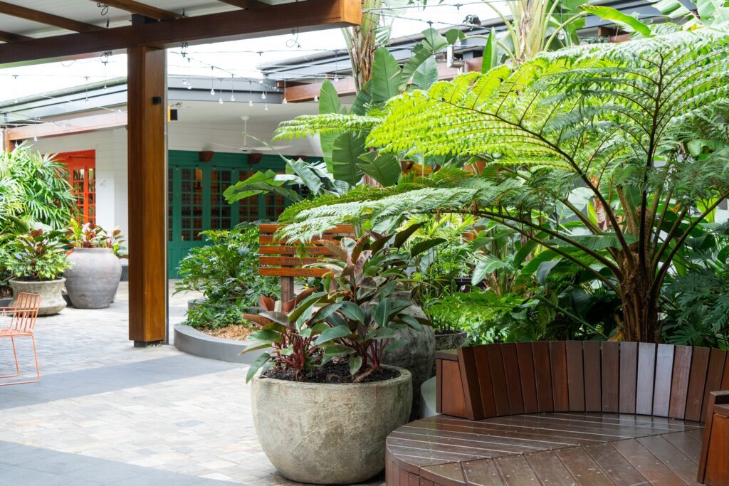 Tree ferns and layered planting around timber bench seating at Westfield Coomera, shopping centre plant hire on the Gold Coast