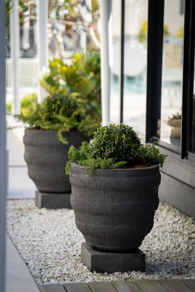 Clipped shrubs in dark textured pots on white pebbles outside the glazing at QT Gold Coast