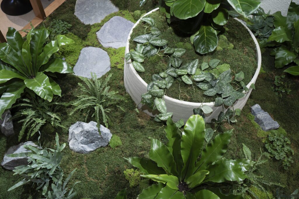Close view of moss, ferns and a feature rock in an indoor garden bed at GDM Property, Albion