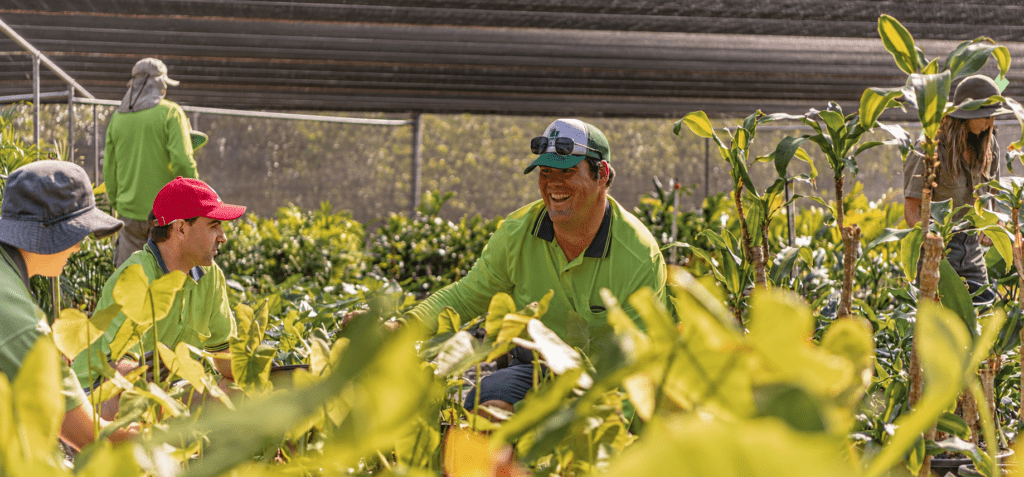 HELP Nursery, Mitchelton Queensland
